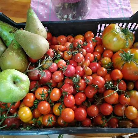 Casa Dos Anxeles Vut-or-1310 Semesterbostad