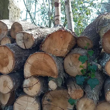 بيت للعطل Casa Dos Anxeles Vut-or-1310 Trasmiras