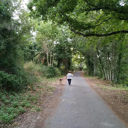 Casa Dos Anxeles Vut-or-1310 بيت للعطل *