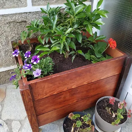 بيت للعطل Casa Dos Anxeles Vut-or-1310 *