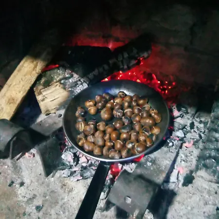 Casa Dos Anxeles Vut-or-1310 Trasmiras