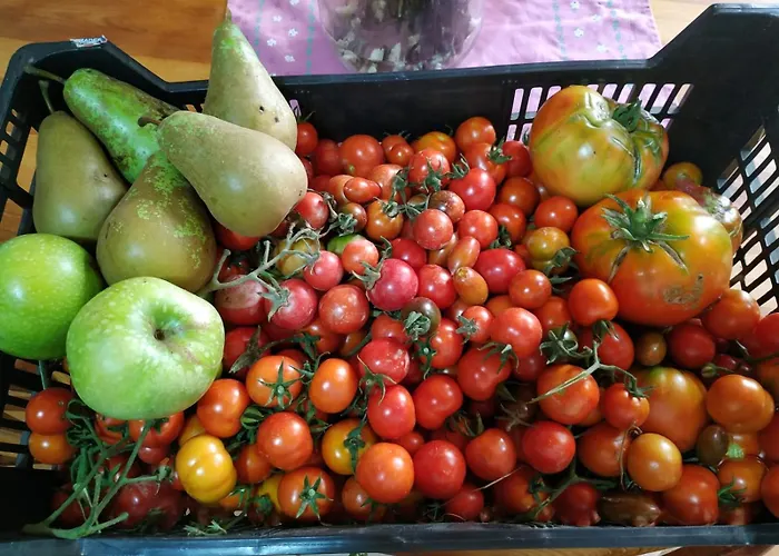 Casa Dos Anxeles Vut-or-1310 Semesterbostad